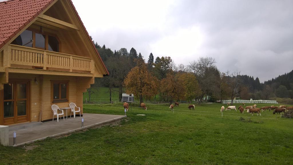 Ferienwohnung Ferienhaus Dorfruhe Sankt Stefan an der Gail Zimmer foto